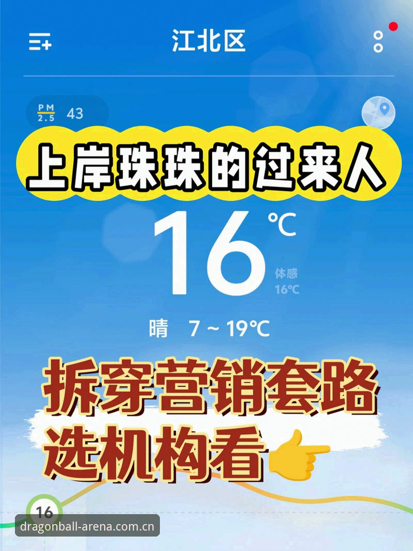 龙珠体育官方网站最新动态：用户高频问题与深度解析指南